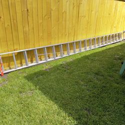 40 Ft Ladder