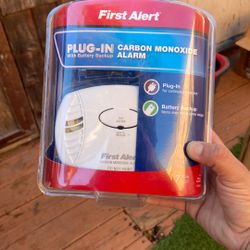 Plug In Carbon Monoxide Alarm