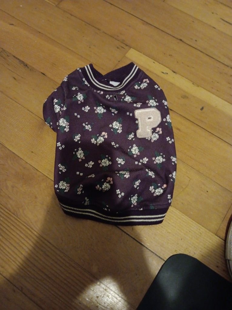 Varsity Dog Clothes