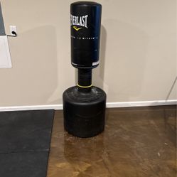 Standing Punching Bag