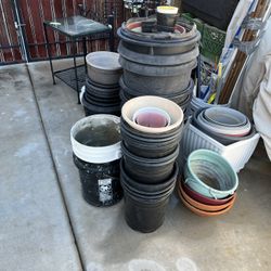 $25 For All Plant Pots In 1st Picture 