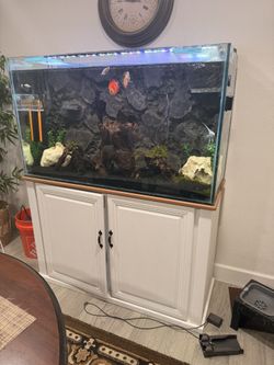 Custom 90 Gallon Fish Tank