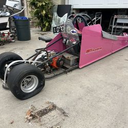 Jr Dragster Briggs 206 Animal