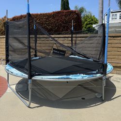 10 FT Trampoline with Safety Enclosure Net, Weight Capacity 661 LBS for 3-4 Kids,Outdoor Tramppline with Waterproof Jump Mat, Ladder,Recreational Tram