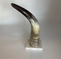 Polished Decorative Horn with Marble Base