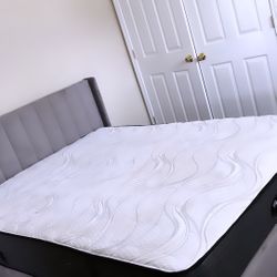 Queen Size Bed 