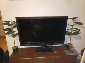 50 in Vizio Flat Screen TV