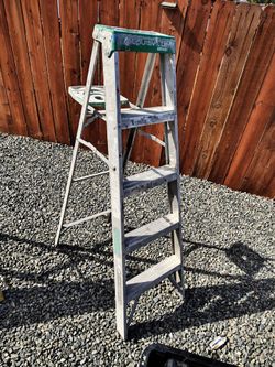 5ft ladder