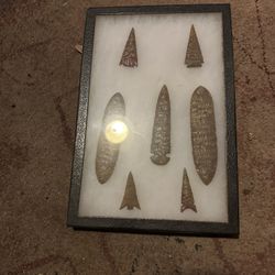 Display Case Of Arrow Heads