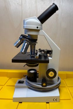 AmScope Compound Microscope w/ 4 Objectives, WF10X/WF20X Eyepieces, Slides & Accessories