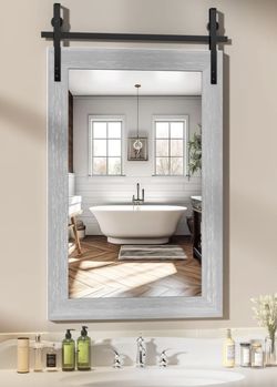 Barn door Mirror With Hardware 