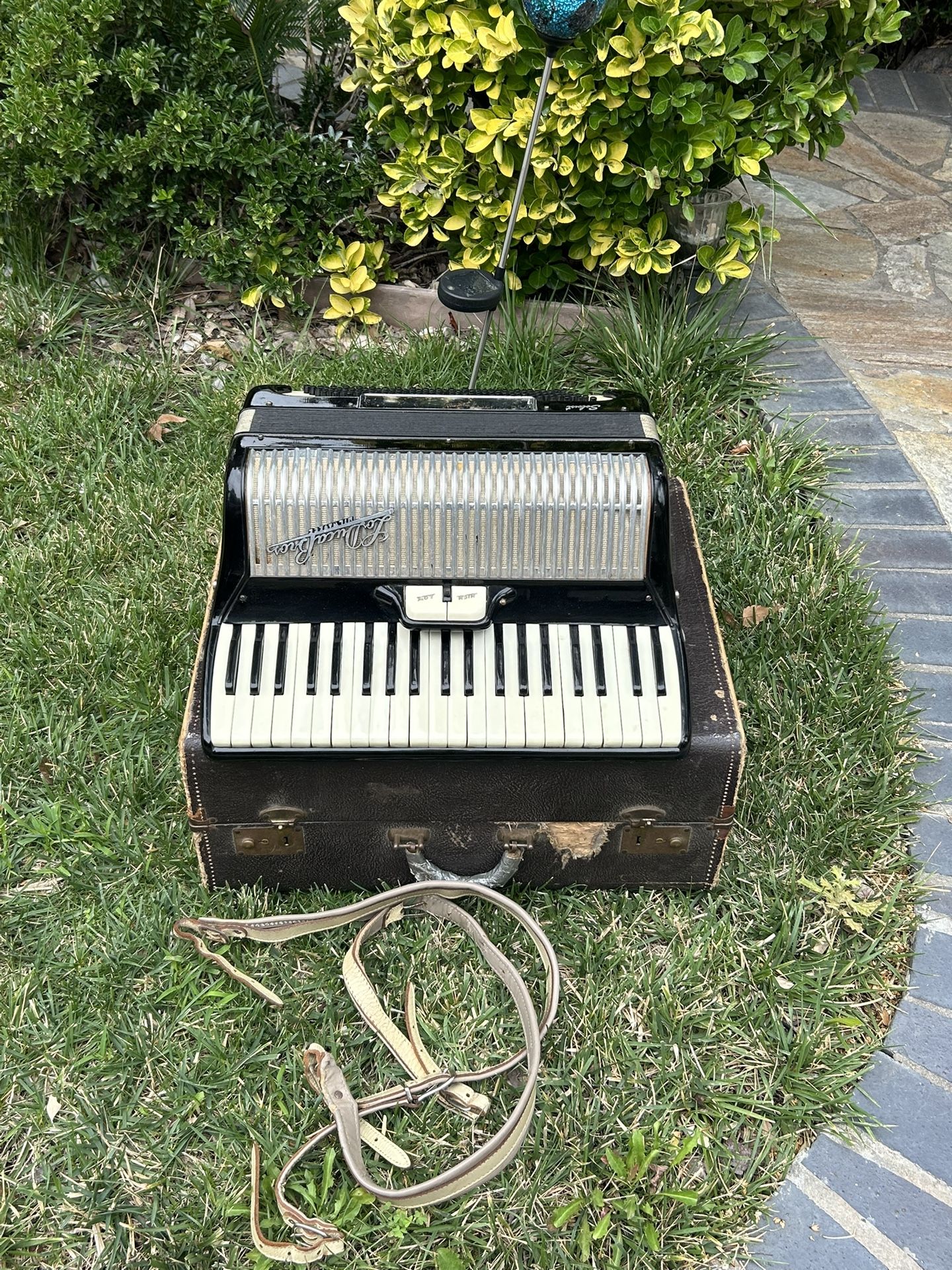 Piano Italian Accordion. πͺ