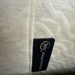 Day Bed/ with mattress 