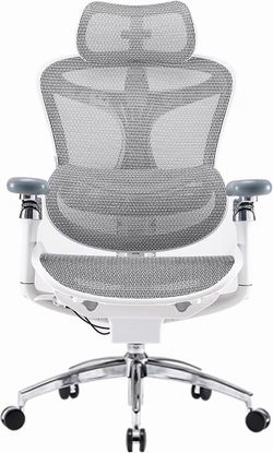SIHOO Doro C300 Ergonomic Office Chair with Ultra Soft 3D Armrests Dynamic Lumbar Support for Home Office Chair, Adjustable Backrest Desk Chair, Swive