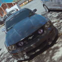 2006 Ford Mustang