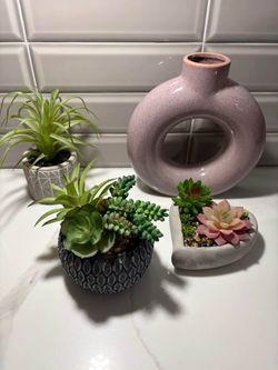 4pc succulents & purple pink vase decorations