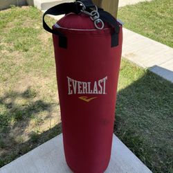 75LB EVERLAST PUNCHING BAG