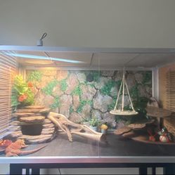Reptile Enclosure 