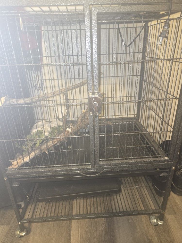 Big Cage