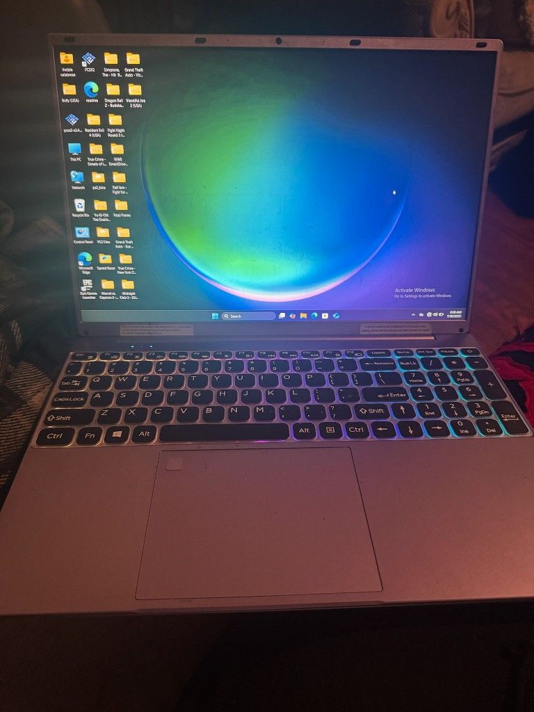 Windows 11 Pro (24H2)