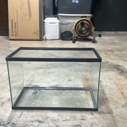 10 Gallon Tank