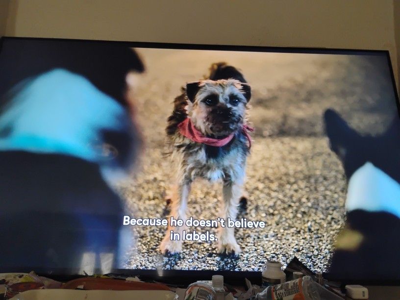 4k LG 65qned80uqa