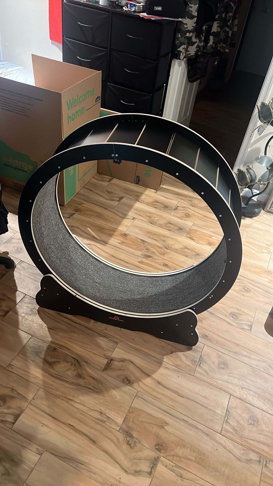 Cat Treadmill