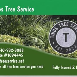 tinos trees(last photo for description)