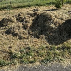 Free Hay