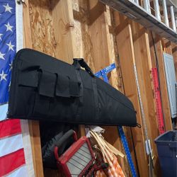 Gun Case