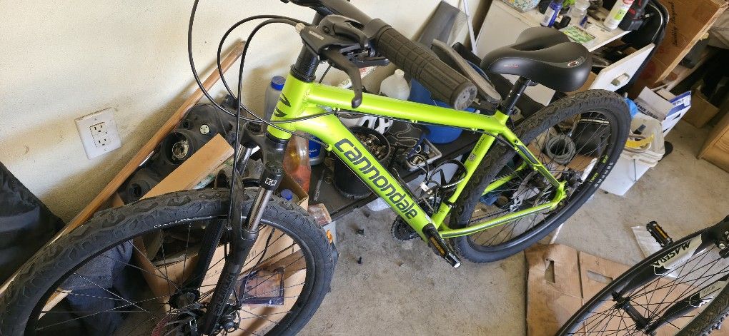Cannondale Catalyst 3