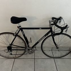 Trek 1220 Cycling Bike 