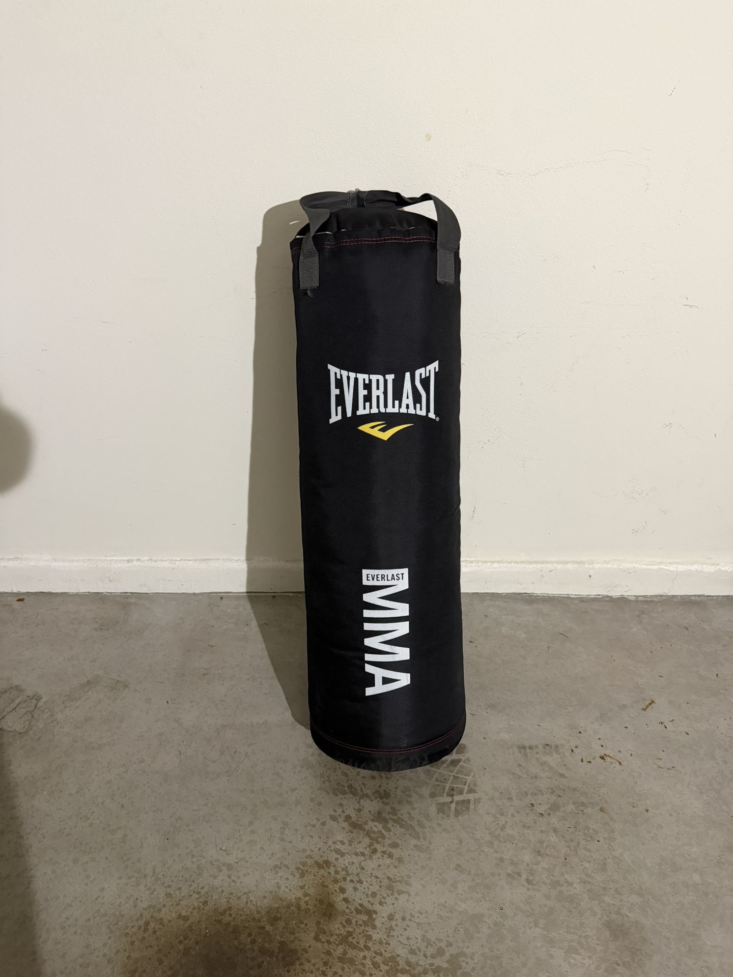 Everlast Punching Bag