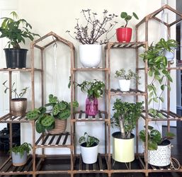 Wood Plant shelf