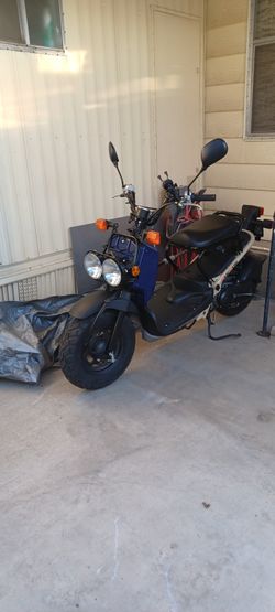 2023 Honda Ruckus