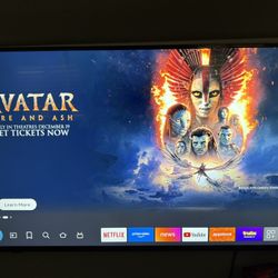 65” Insignia Fire TV