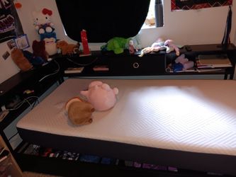 Bed and bed frame