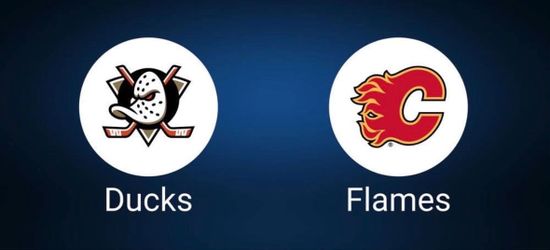 Ducks Vs Flames