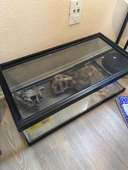 Snake tank
