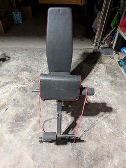 Weight Bench