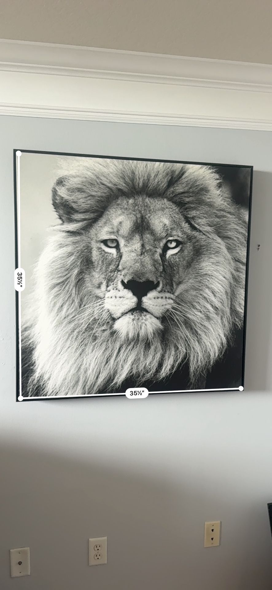 Lion Painting