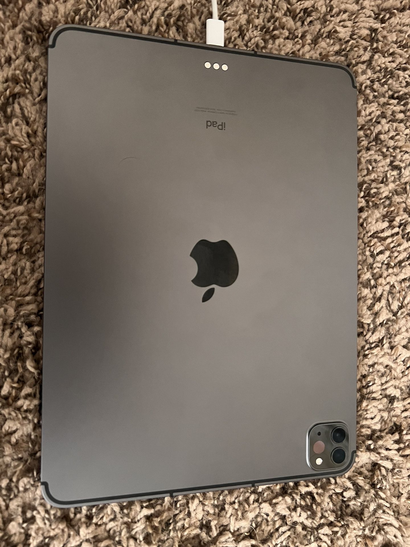 iPad Pro 11” 128gig With Case! 