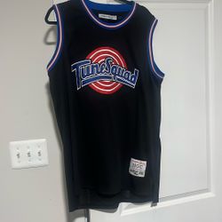(WILL NEGOTIATE PRICE) Micheal Jordan SpaceJam Jersey