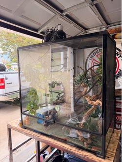 Chameleon tank 36x18x36inch