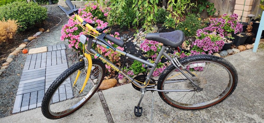 Huffy Men's Mountain Bike