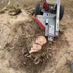 !!STUMP GRINDING!!