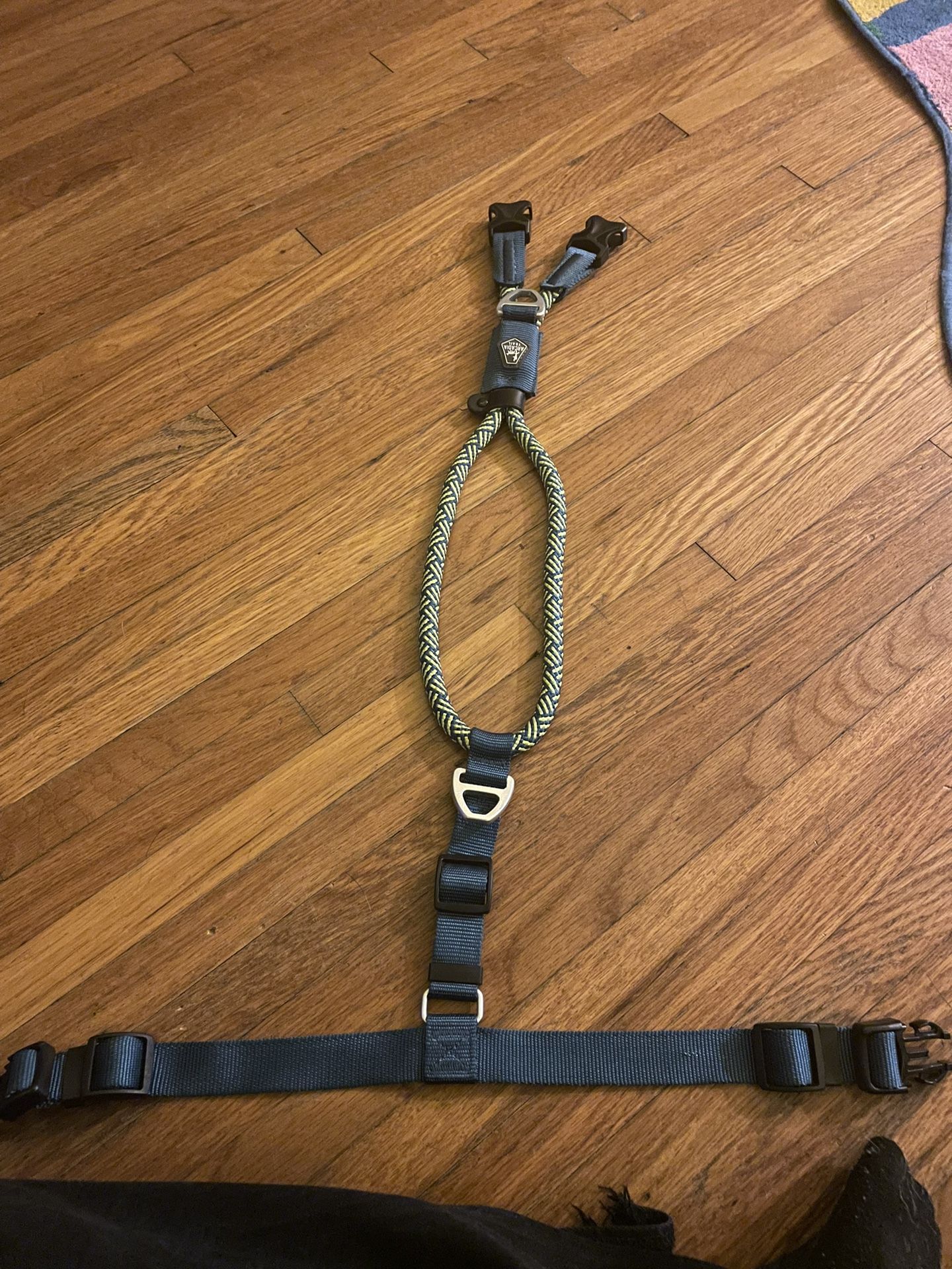 Dog Harness