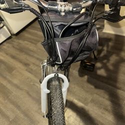 Electric Bike 