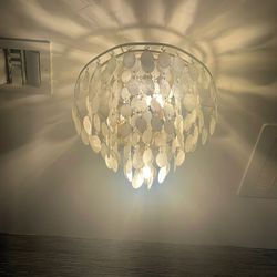 Chandelier -  Mother  of Pearl Shells 