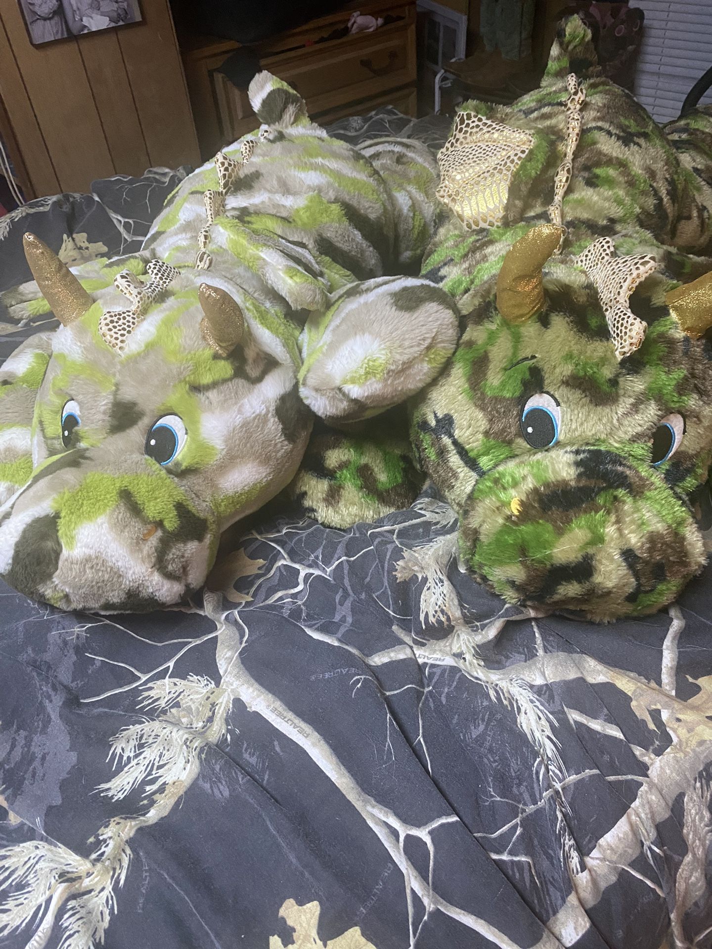 2 Camo Dragons